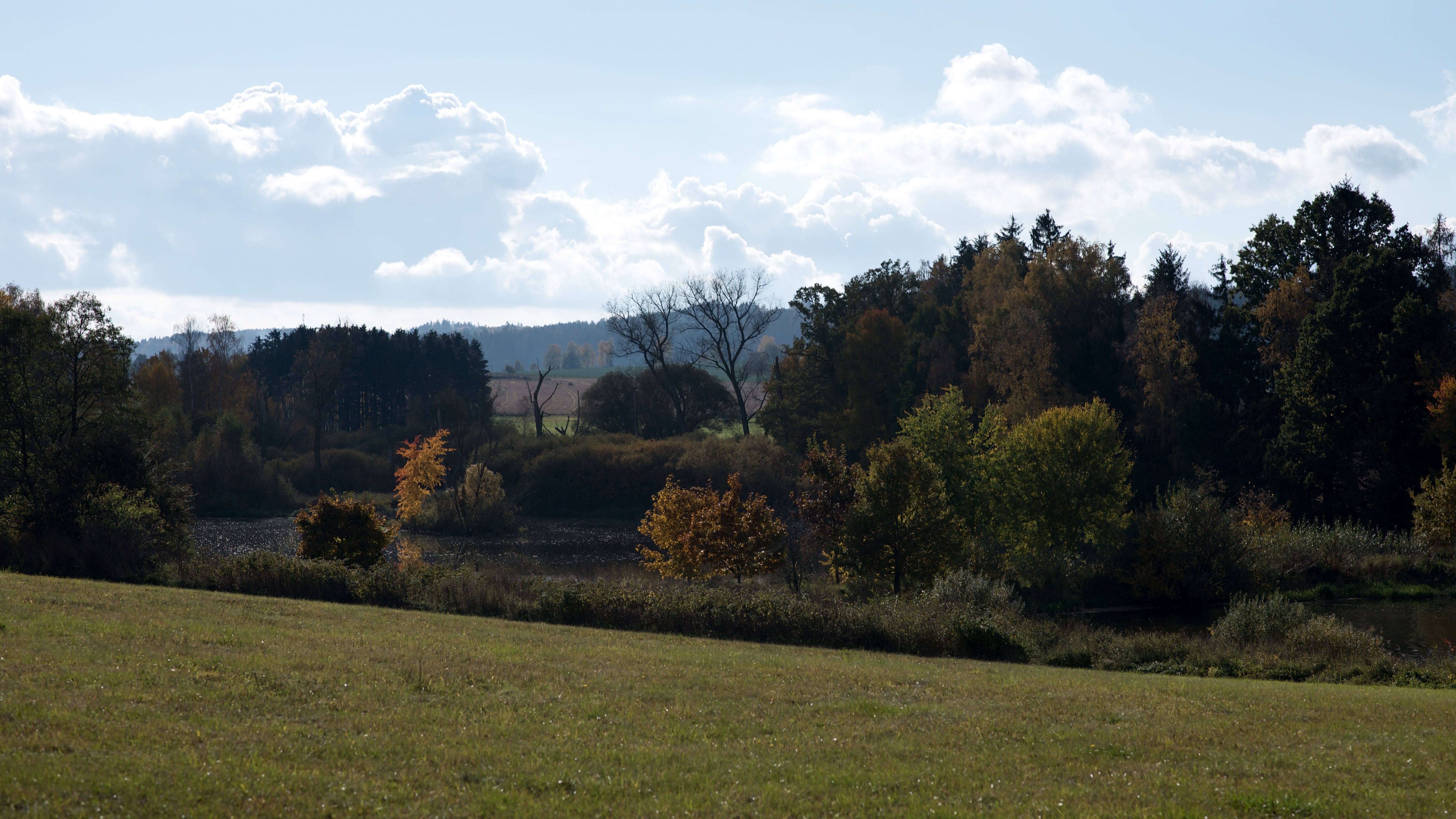  DSC5955 (1)